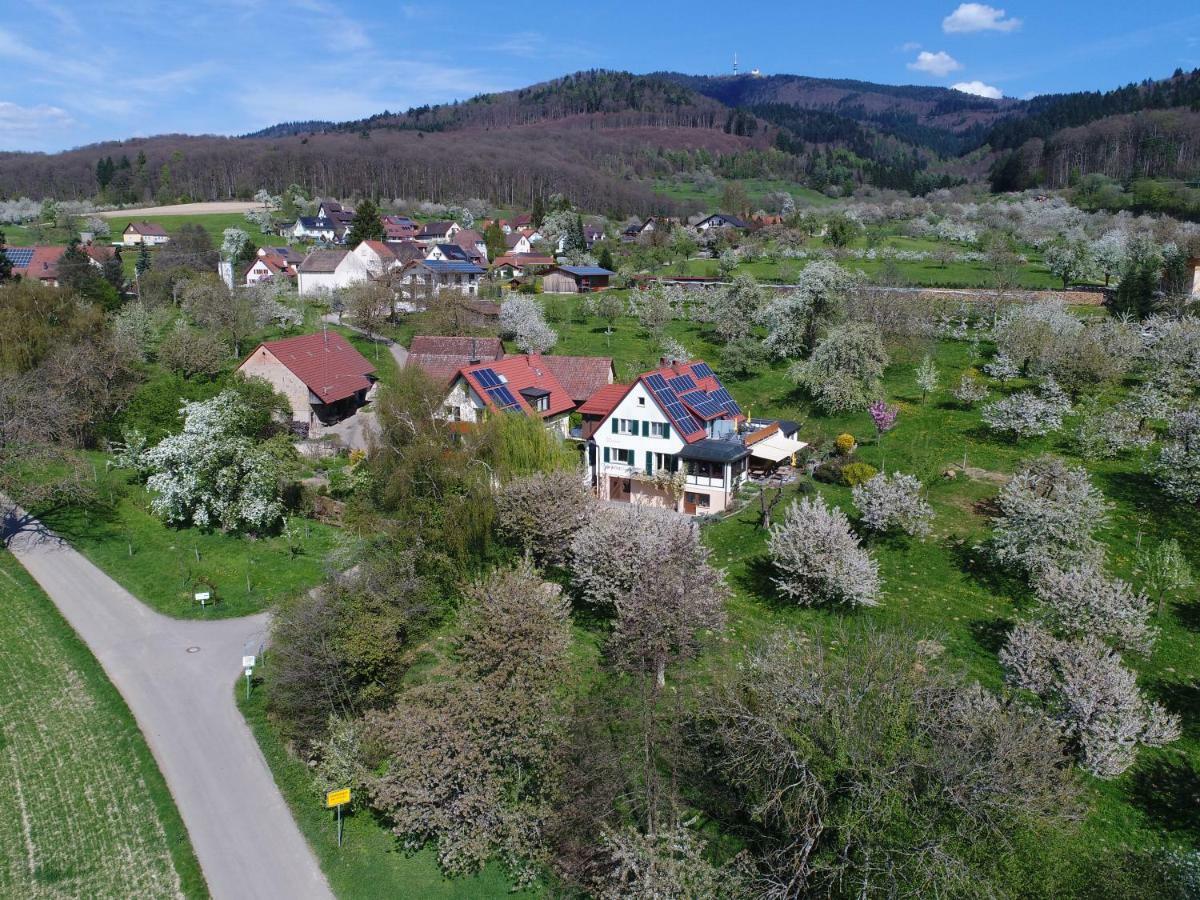 Haus Am Blauenbach Apartment ชลีงเกน ภายนอก รูปภาพ
